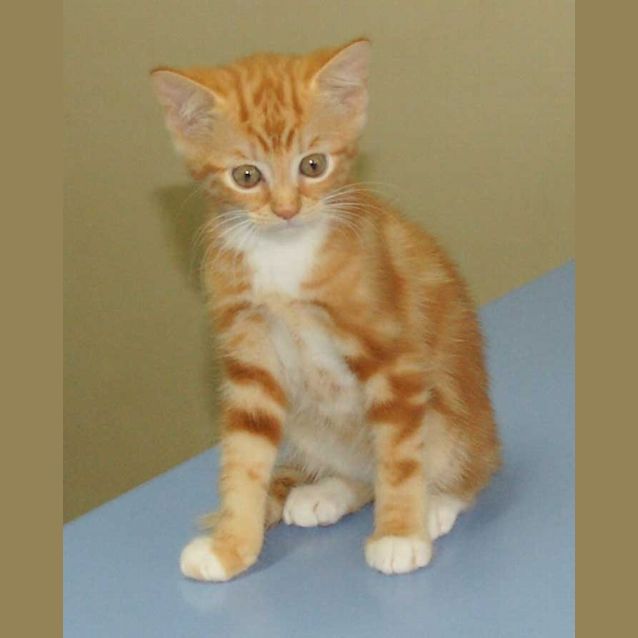 Photo of Igor