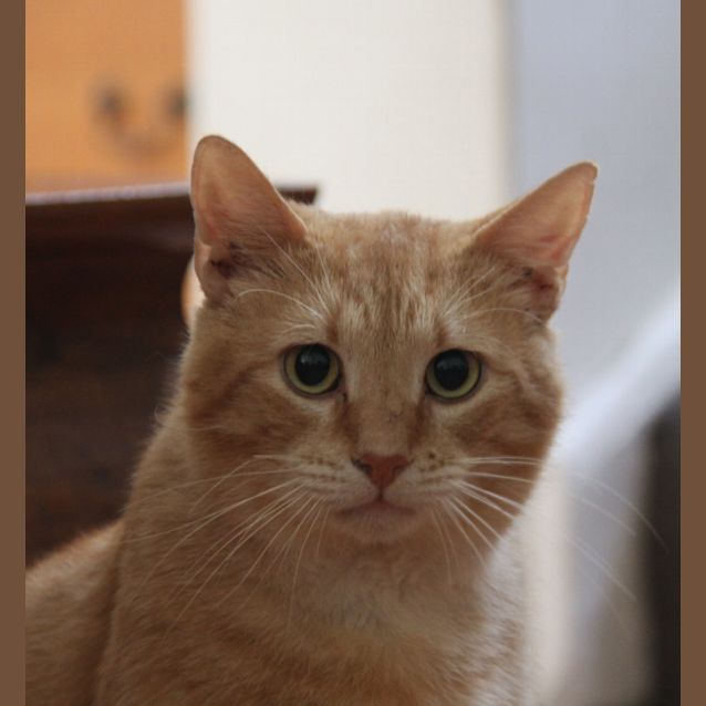 Photo of Mr Kipling