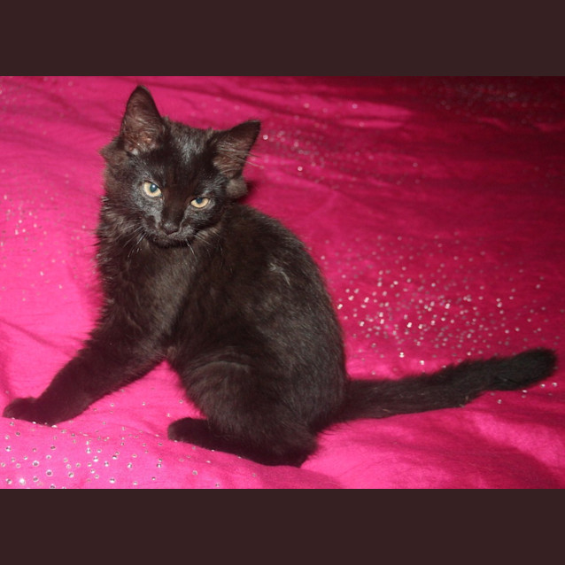 Photo of Lilly