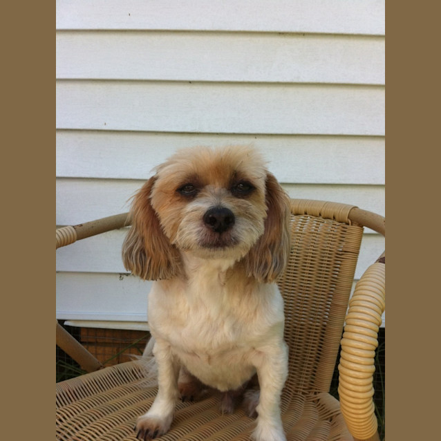 Photo of Taffy