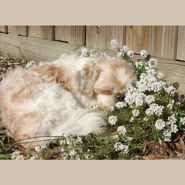 Photo of Quinnie