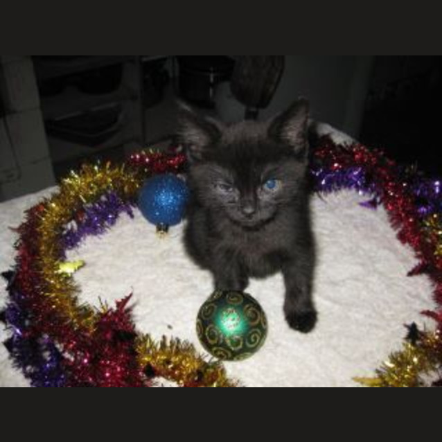 Photo of Jet