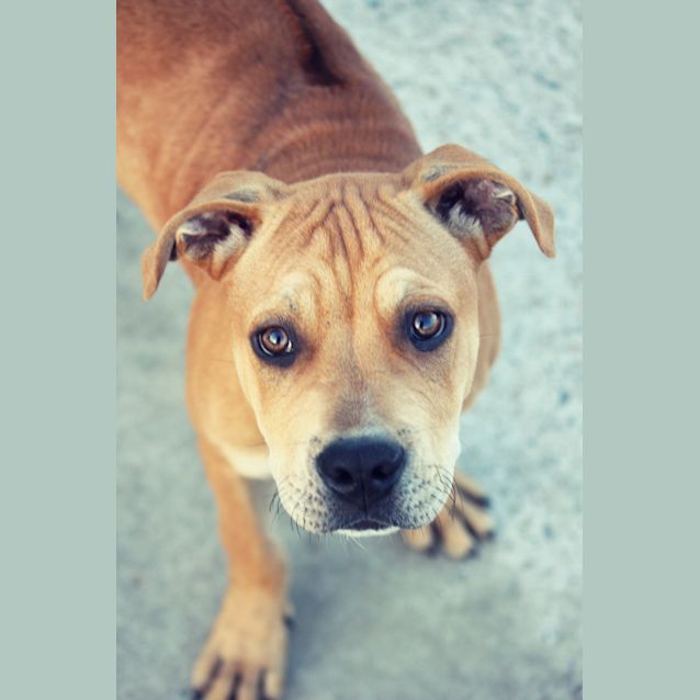 Photo of Spud