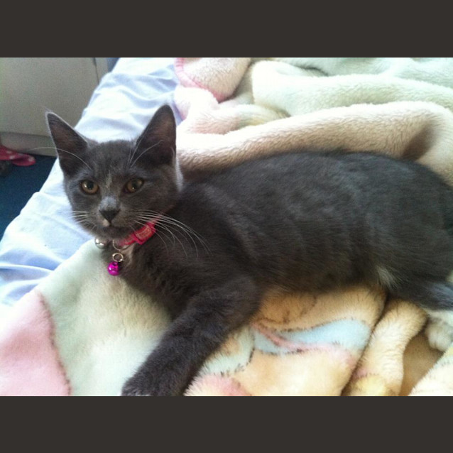 Photo of Izzy