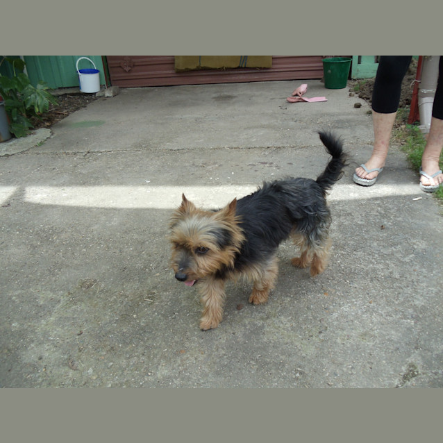 Photo of Tiny