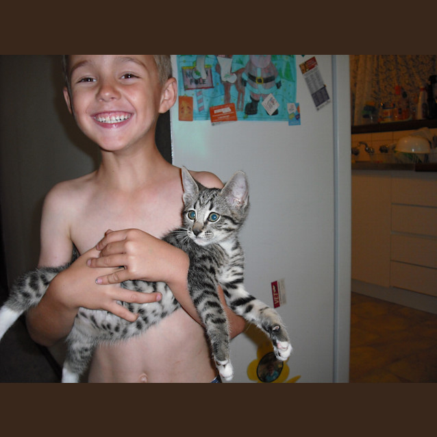 Photo of Jet (Cav120) *On Trial*