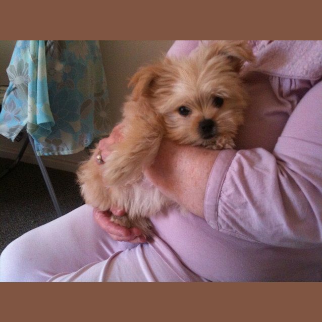 Photo of Princess Leah