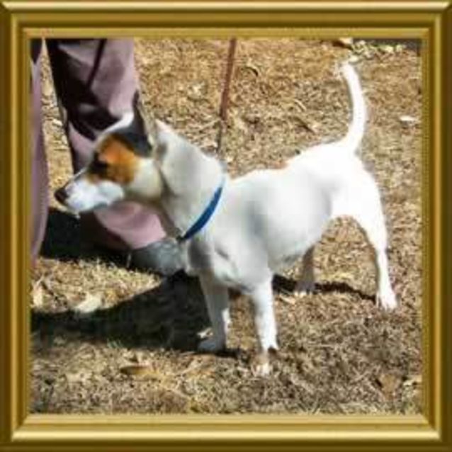 Photo of Remo