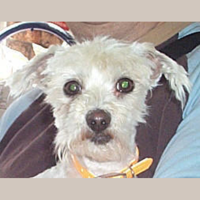 Photo of George