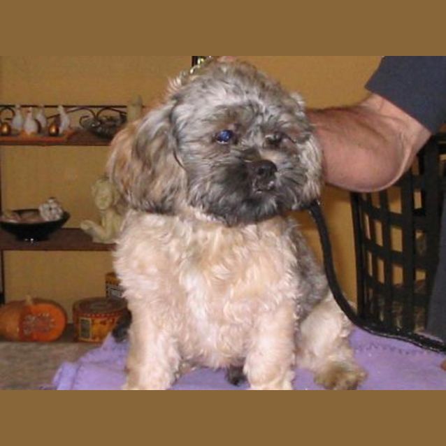 Photo of Willy