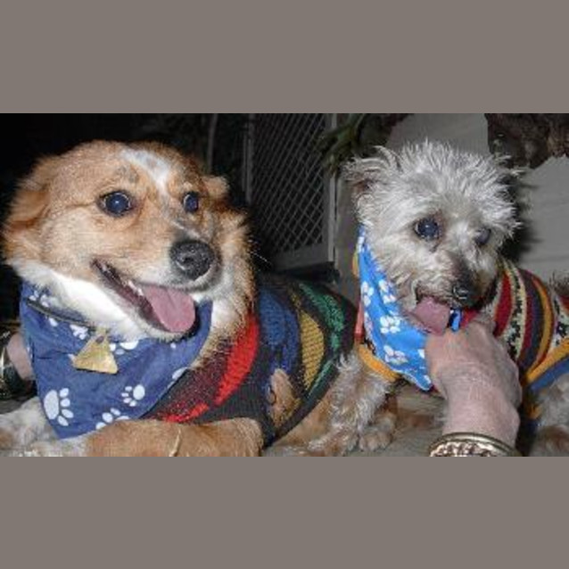 Photo of Flossie & Lexxi