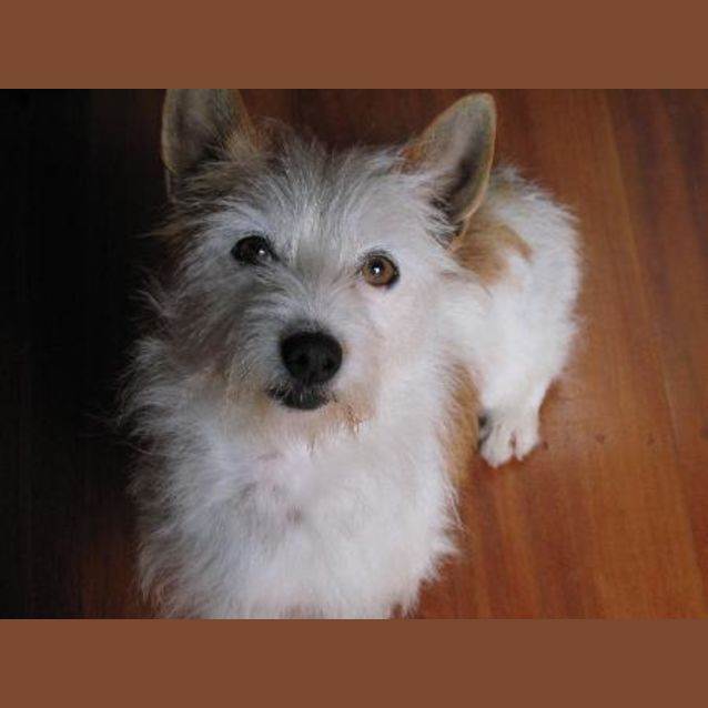 Photo of Tara