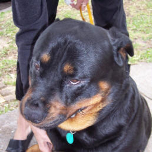 Photo of Xena