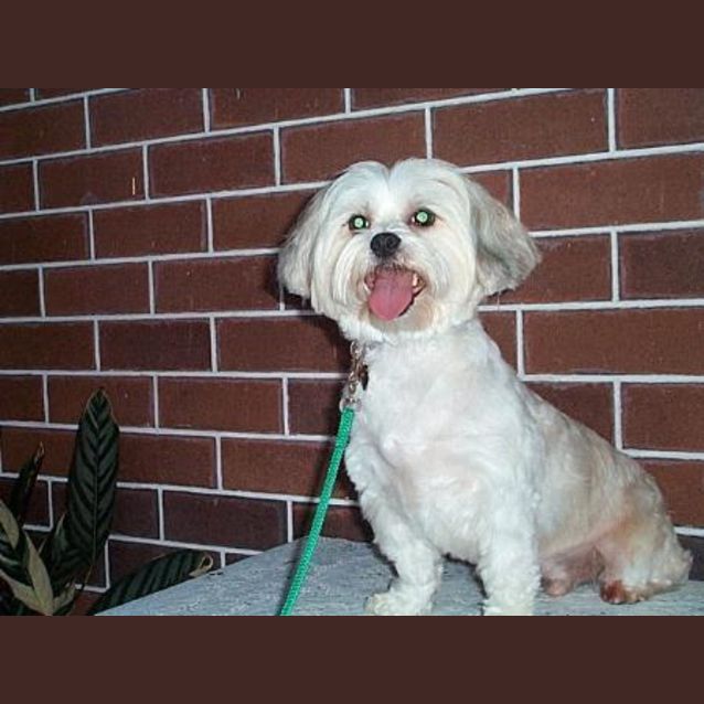 Photo of Troy