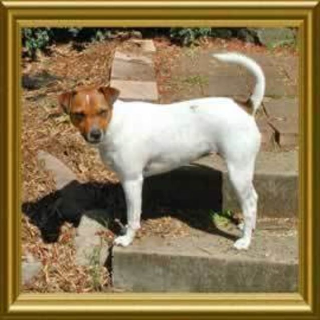 Photo of Peggy