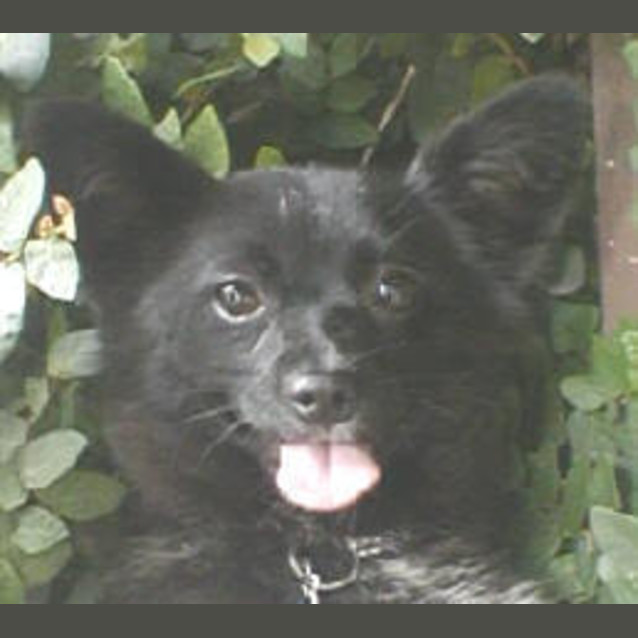 Photo of Mimi
