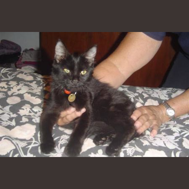 Photo of Cleopatra