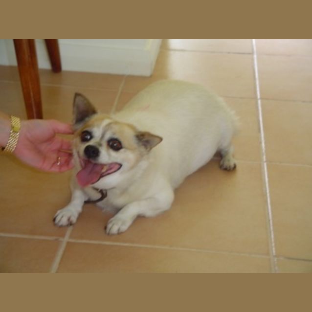 Photo of Bj (Bridget Jones)