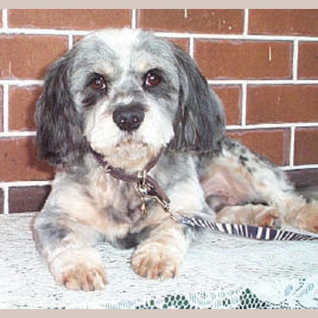 Photo of Skittles