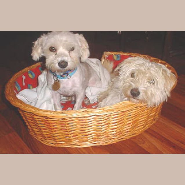 Photo of Yahoo (L) And Hotmail (R)