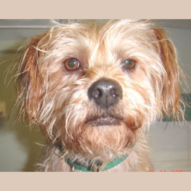 Photo of Macka