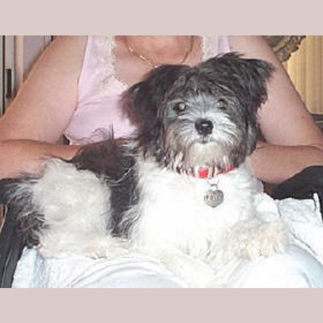 Photo of Bessie