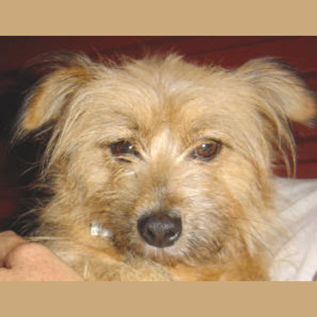 Photo of Jill