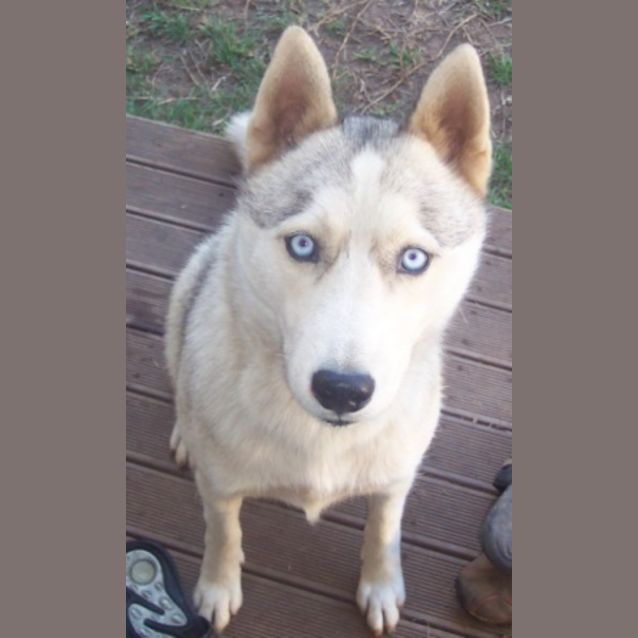 Photo of Max And Kaiser