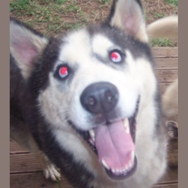 Photo of Max And Kaiser