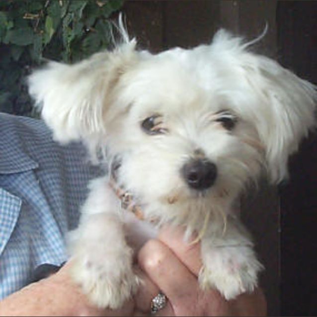 Photo of Tobby