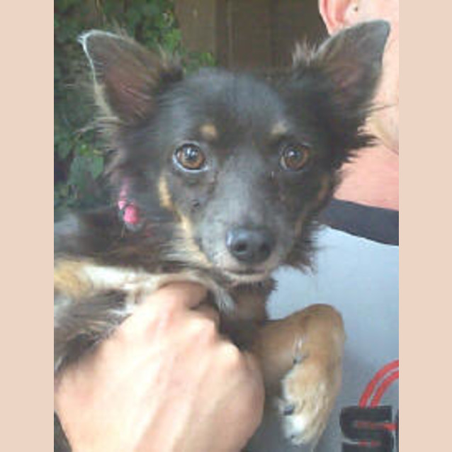 Photo of Spunky