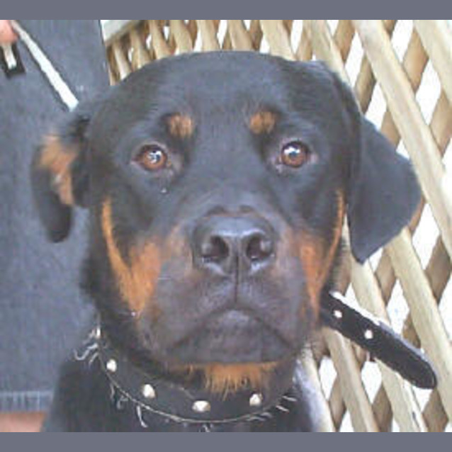 Photo of Zeus