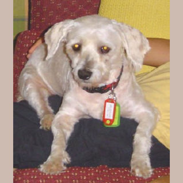 Photo of Monty
