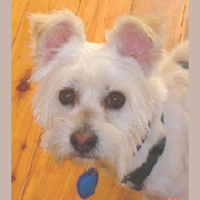 Photo of Wilson