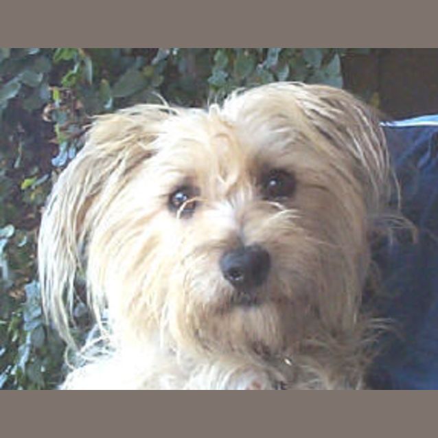 Photo of Millie