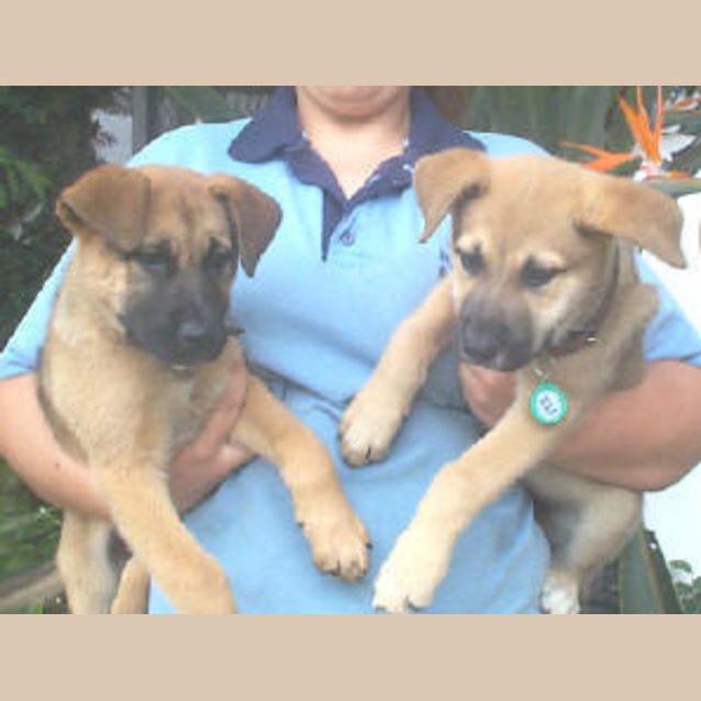 Photo of Jinx And Tinker