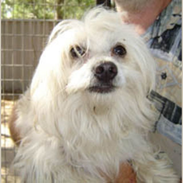 Photo of Snowy