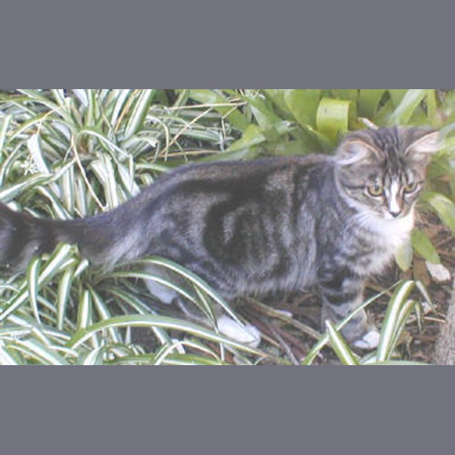 Photo of Angel