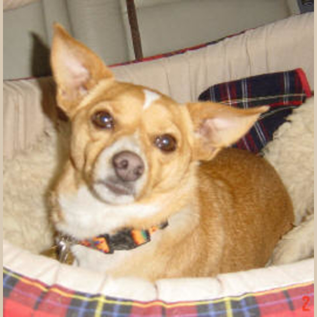 Photo of Ruby