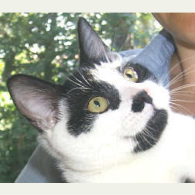 Photo of Rumble
