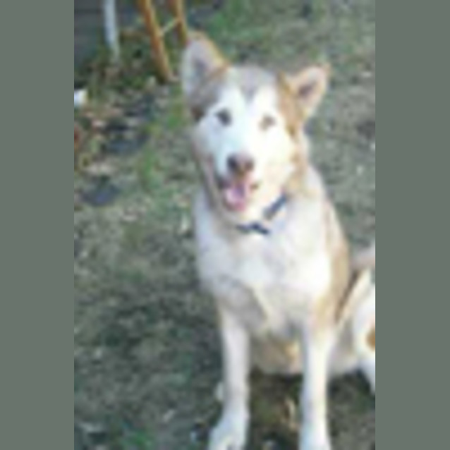 Photo of Kiera