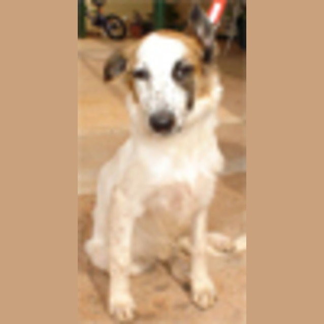 Photo of Heidi