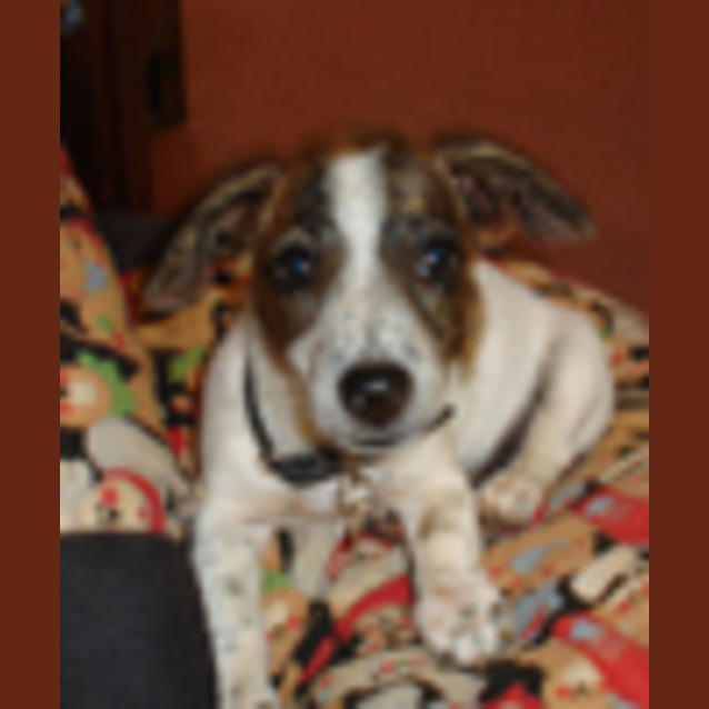 Photo of Ralph