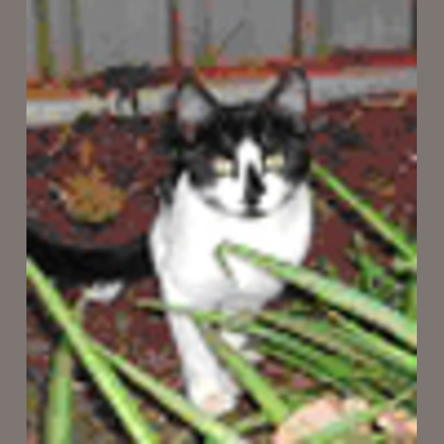 Photo of Chloe