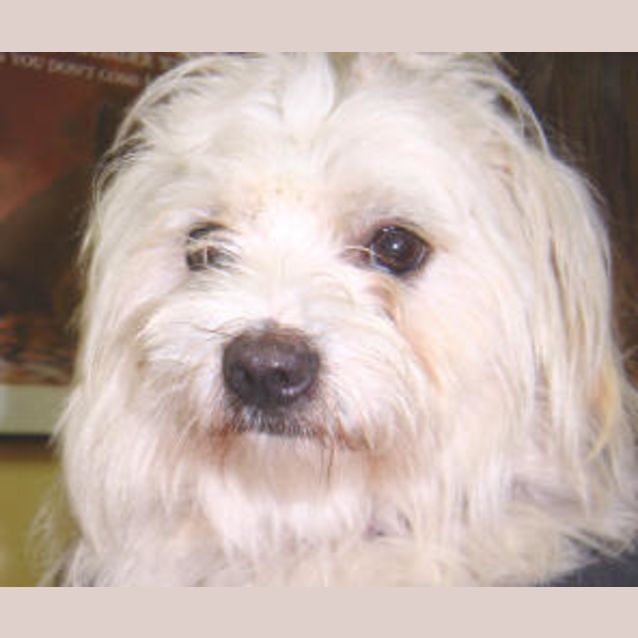 Photo of Fletcher