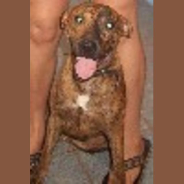 Photo of Bruce
