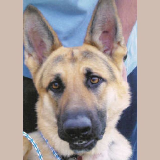 Photo of Max