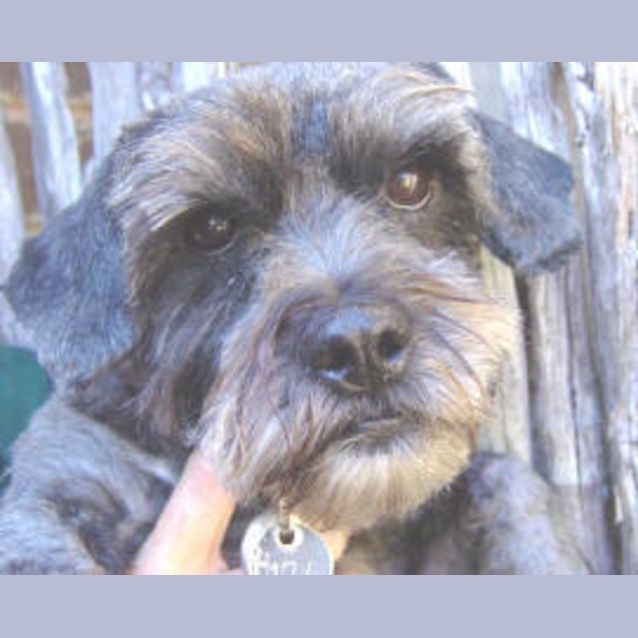 Photo of Edward