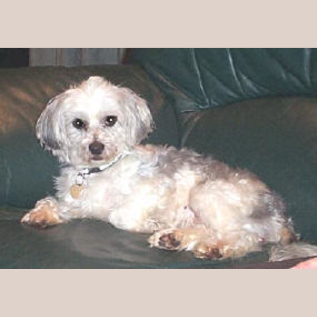 Photo of Tori