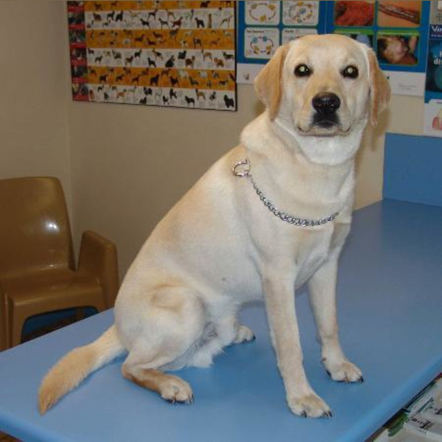 Photo of Max